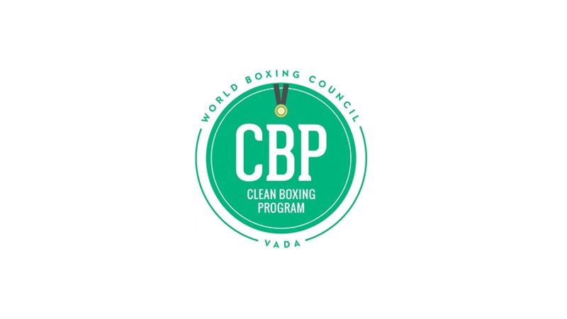 clean_boxing_program-logo