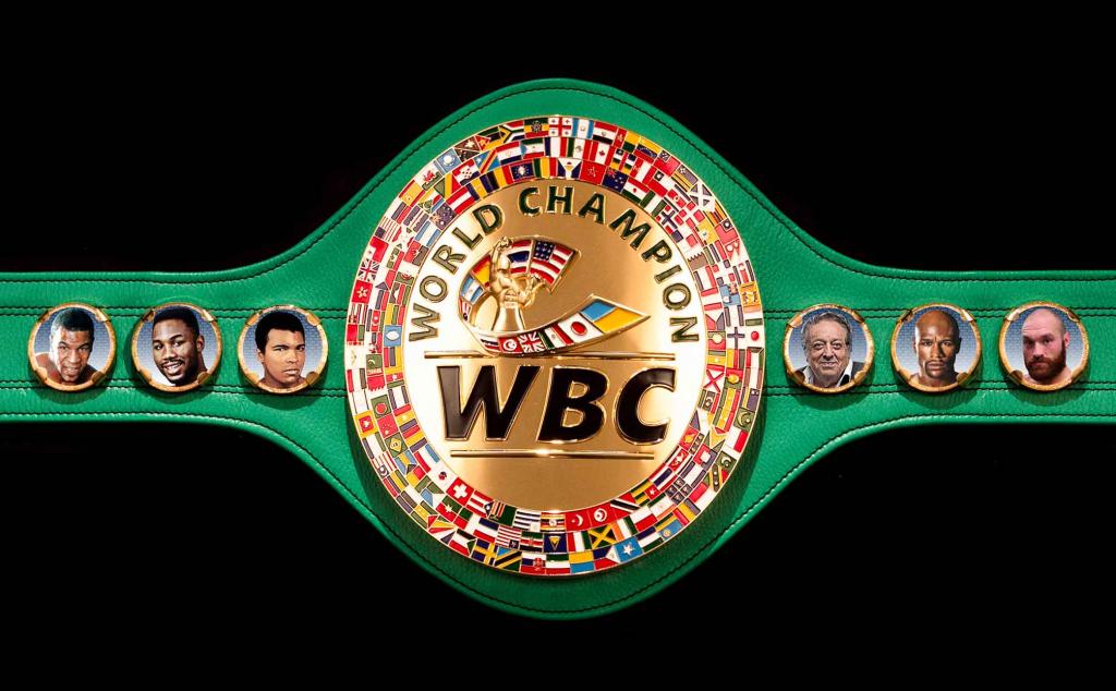 WBC World Champion Boxing Championship Belts 